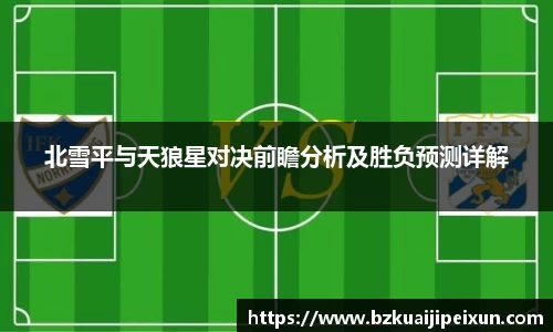 美嘉体育北雪平与天狼星对决前瞻分析及胜负预测详解